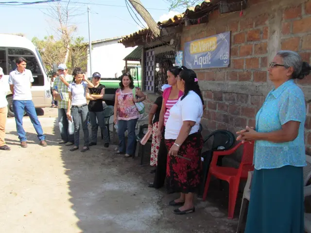 Socializacion