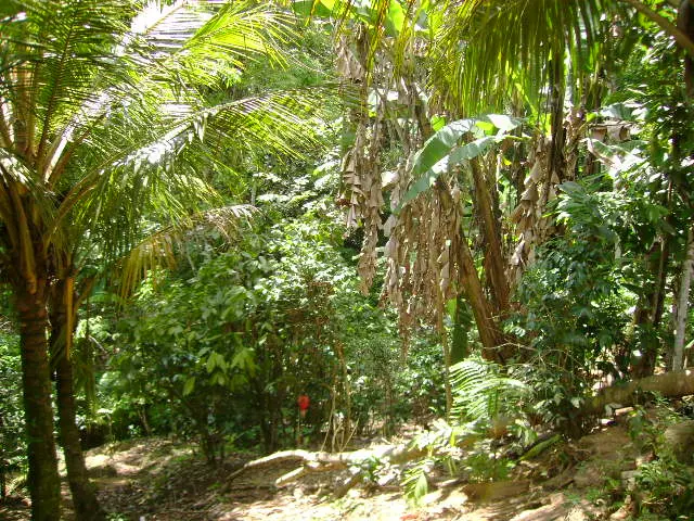 Zona natural