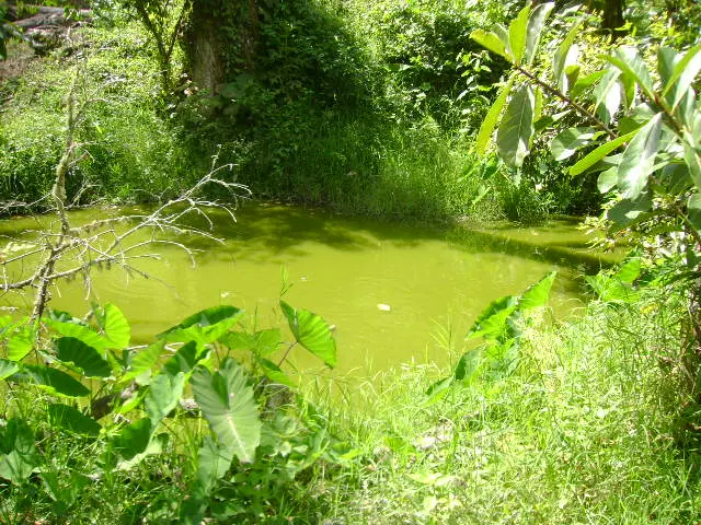 Zona natural