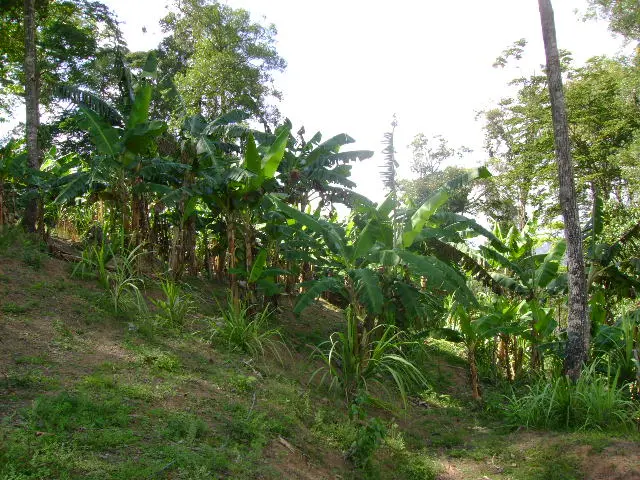 Zona natural