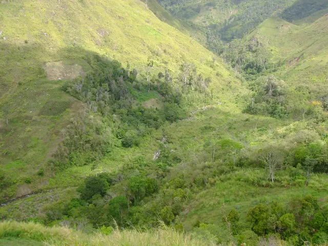 Zona natural