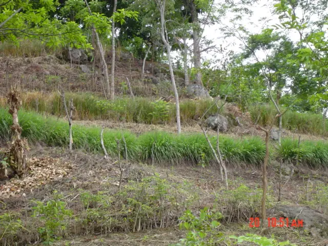 Zona natural