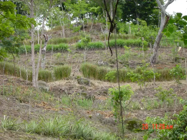 Zona natural