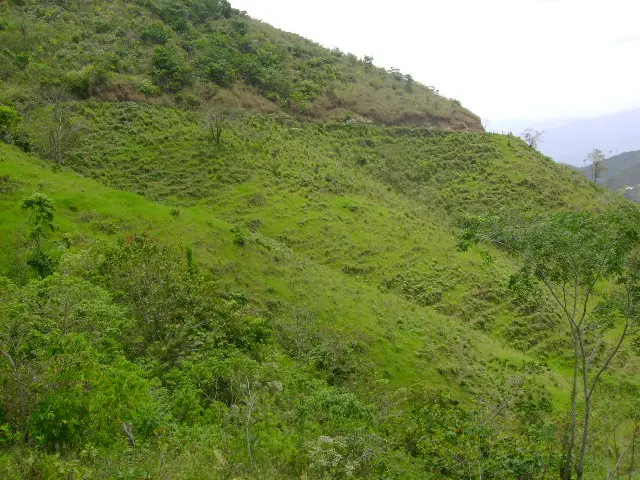 Zona natural
