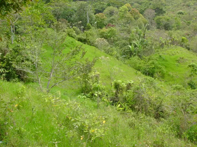 Zona natural