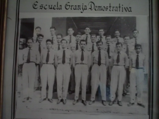 Imagen 1