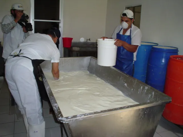Imagen 4