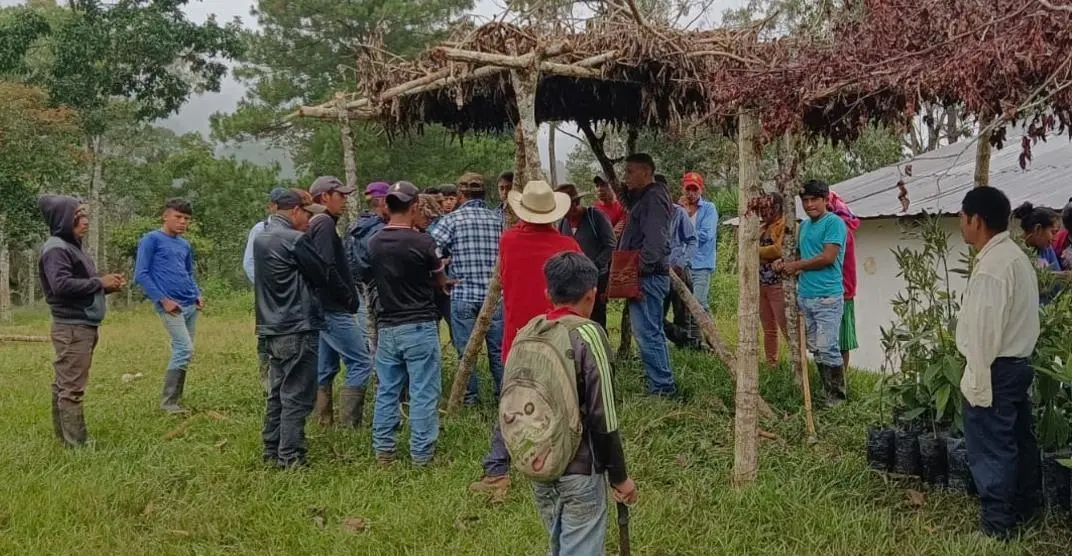 Galeria de Opalaca